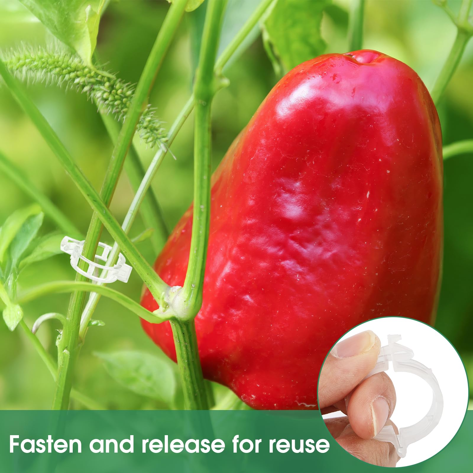 Reusable Plant Support Clips