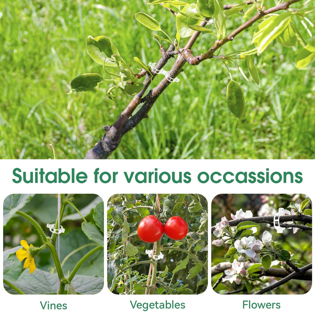 Reusable Plant Support Clips